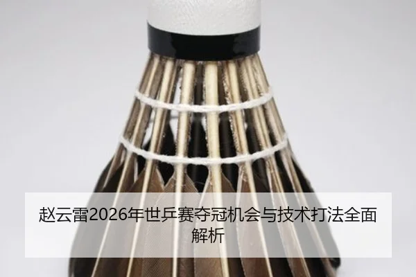 赵云雷2026年世乒赛夺冠机会与技术打法全面解析