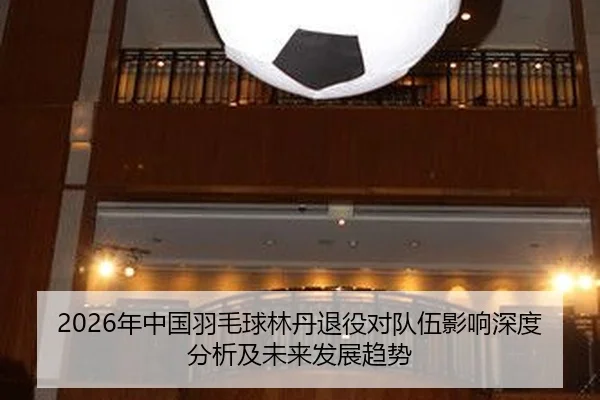 2026年中国羽毛球林丹退役对队伍影响深度分析及未来发展趋势