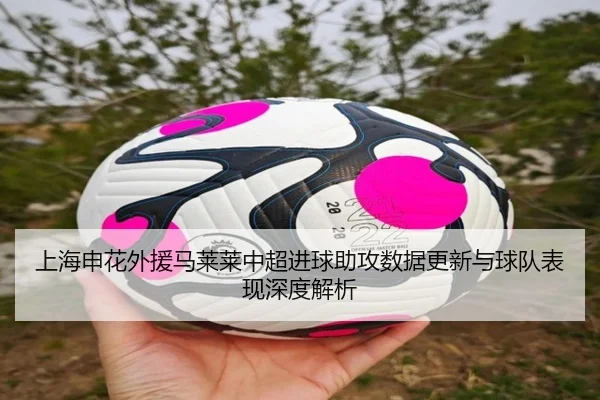 上海申花外援马莱莱中超进球助攻数据更新与球队表现深度解析